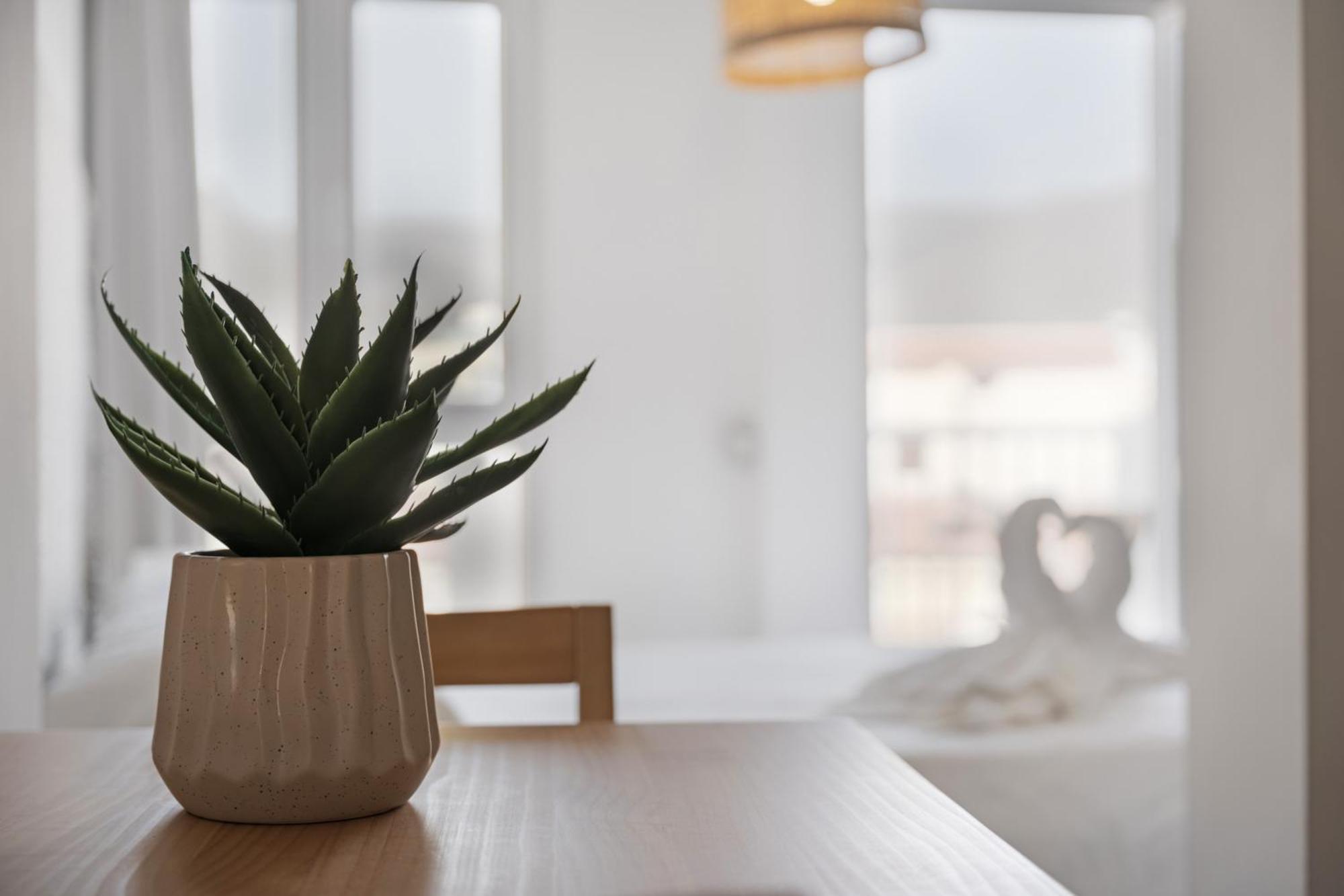 Apartamento La Pista Sur San Sebastián de la Gomera Buitenkant foto